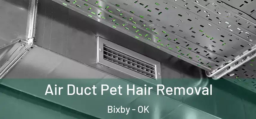  Air Duct Pet Hair Removal Bixby - OK