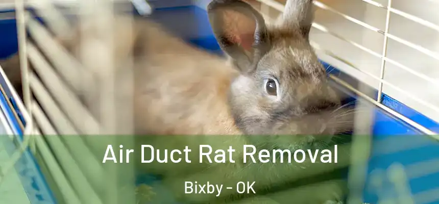  Air Duct Rat Removal Bixby - OK