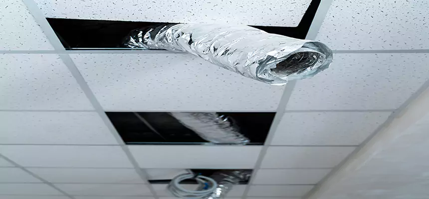 Our Air Duct Pet Hair Removal Services in Bixby, OK