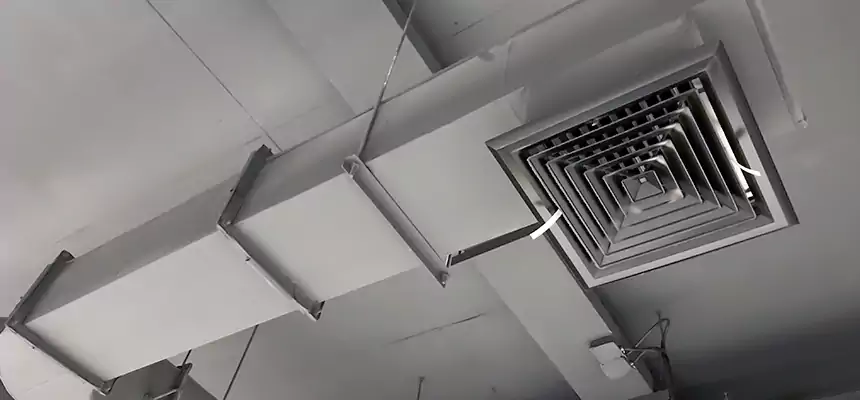 Our Pest Removal From Ducts Services in Bixby, OK