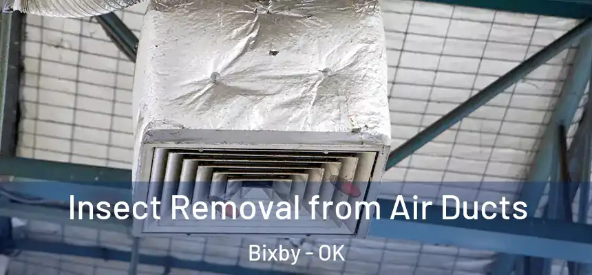  Insect Removal from Air Ducts Bixby - OK