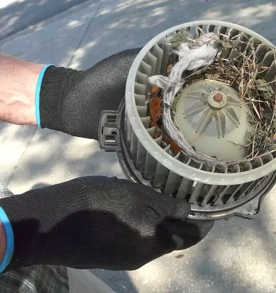 About Air Duct Mice Removal in Bixby, OK